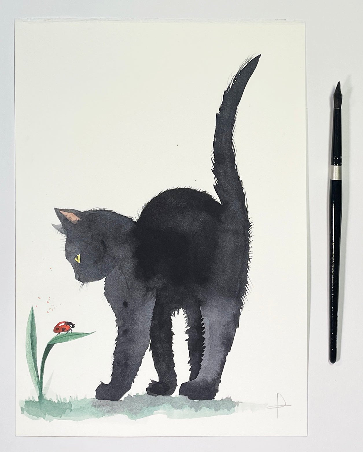 Shadow