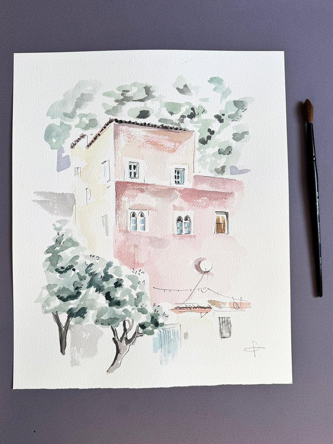 Morning colours