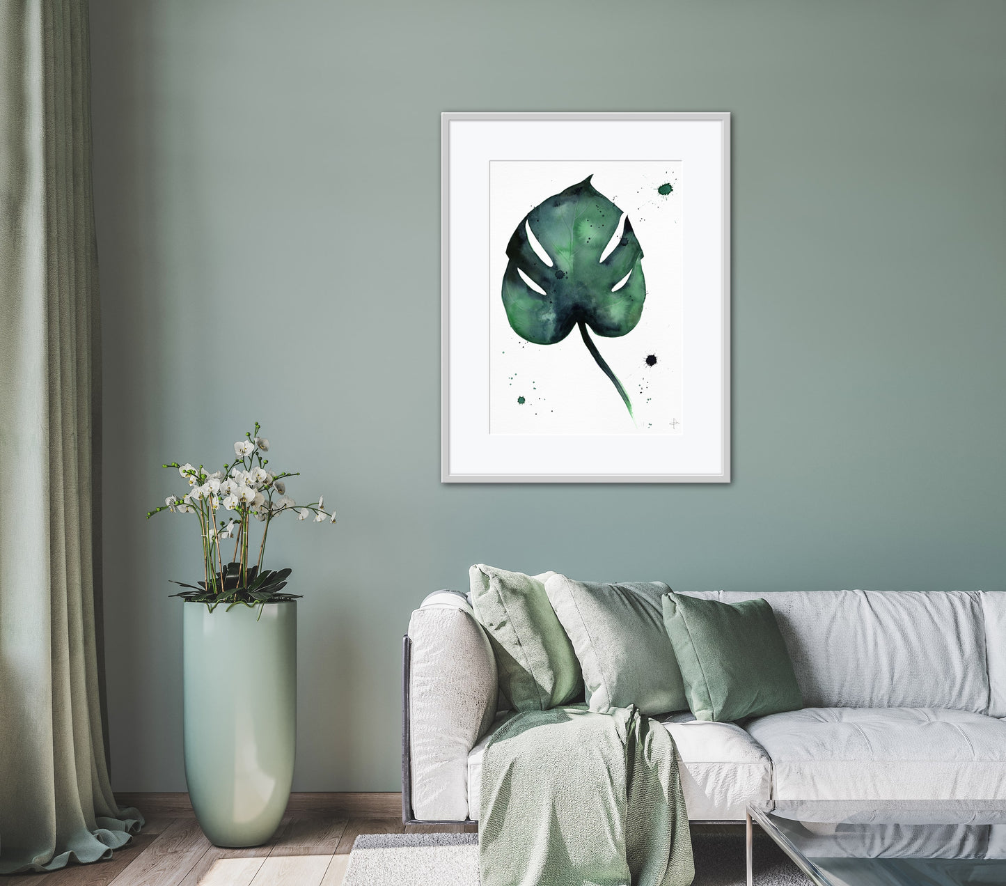 Beautiful Monstera