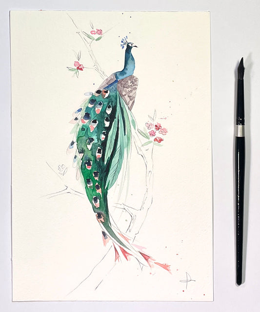 Peacock